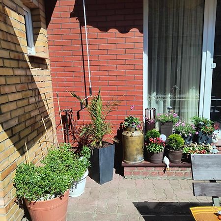 Appartement Ogrodek U Eli à Kołobrzeg Extérieur photo