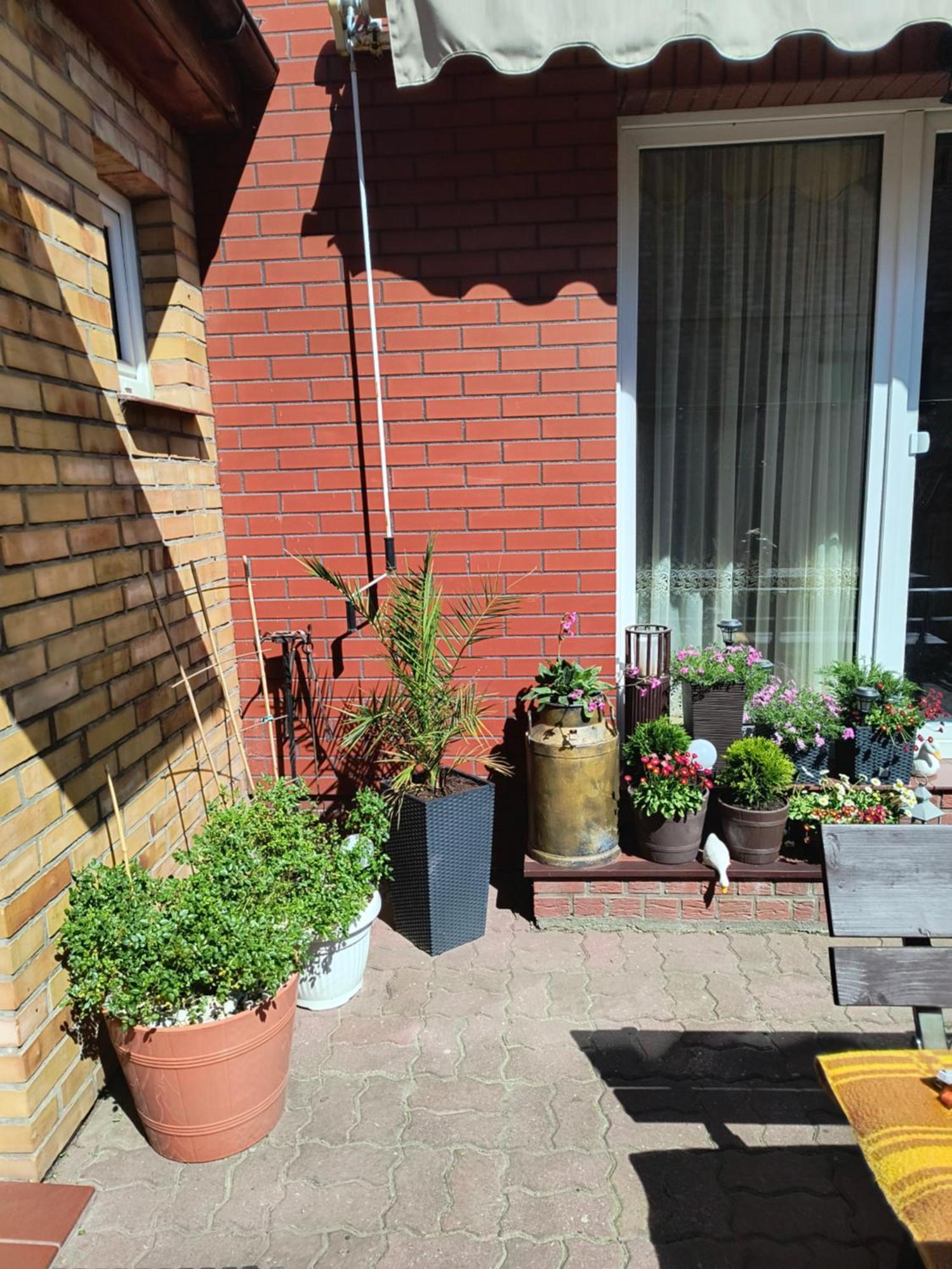 Appartement Ogrodek U Eli à Kołobrzeg Extérieur photo